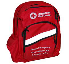 Emergency backpack 